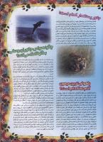 مجله نوجوان 34 صفحه 17