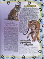 مجله نوجوان 34 صفحه 18