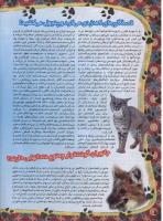 مجله نوجوان 34 صفحه 16