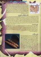 مجله نوجوان 39 صفحه 17