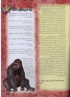 مجله نوجوان 40 صفحه 29