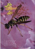 مجله نوجوان 40 صفحه 15