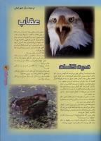 مجله نوجوان 40 صفحه 9