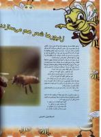 مجله نوجوان 40 صفحه 18