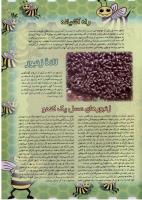 مجله نوجوان 40 صفحه 17