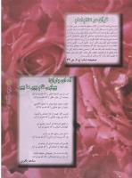 مجله نوجوان 48 صفحه 11