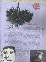 مجله نوجوان 48 صفحه 6
