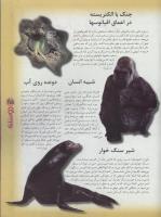مجله نوجوان 50 صفحه 25