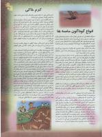مجله نوجوان 50 صفحه 21