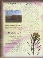 مجله نوجوان 50 صفحه 19