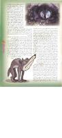 مجله نوجوان 52 صفحه 31