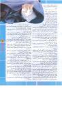 مجله نوجوان 52 صفحه 7