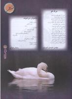 مجله نوجوان 53 صفحه 23