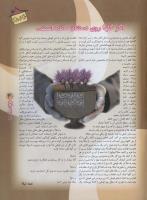 مجله نوجوان 54 صفحه 31