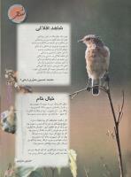 مجله نوجوان 54 صفحه 23