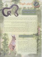 مجله نوجوان 56 صفحه 26