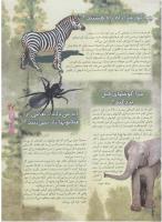 مجله نوجوان 56 صفحه 27