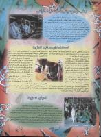 مجله نوجوان 57 صفحه 22