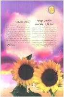 مجله نوجوان 61 صفحه 34