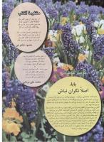 مجله نوجوان 62 صفحه 25