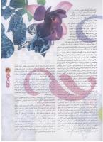 مجله نوجوان 62 صفحه 31