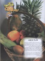 مجله نوجوان 63 صفحه 15