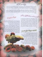 مجله نوجوان 63 صفحه 22