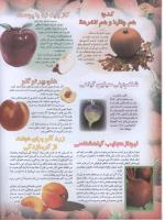 مجله نوجوان 63 صفحه 18
