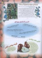 مجله نوجوان 63 صفحه 17