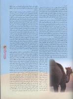مجله نوجوان 63 صفحه 13