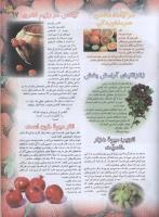 مجله نوجوان 63 صفحه 19