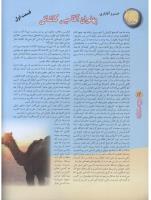 مجله نوجوان 63 صفحه 12