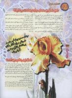مجله نوجوان 64 صفحه 34