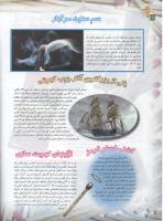 مجله نوجوان 66 صفحه 18