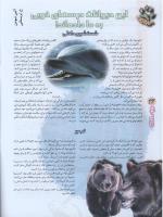 مجله نوجوان 67 صفحه 26