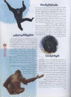 مجله نوجوان 67 صفحه 27