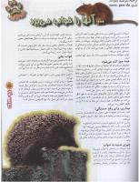 مجله نوجوان 68 صفحه 5