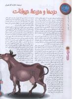 مجله نوجوان 68 صفحه 28