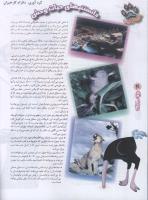 مجله نوجوان 70 صفحه 30