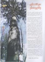 مجله نوجوان 70 صفحه 31