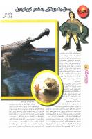 مجله نوجوان 71 صفحه 8