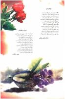 مجله نوجوان 71 صفحه 19