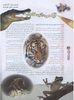 مجله نوجوان 72 صفحه 32