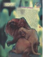 مجله نوجوان 73 صفحه 8