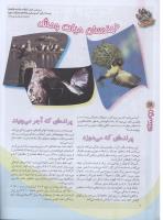 مجله نوجوان 73 صفحه 28
