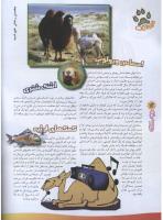 مجله نوجوان 74 صفحه 12