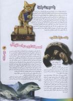 مجله نوجوان 74 صفحه 13