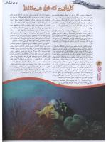 مجله نوجوان 74 صفحه 14