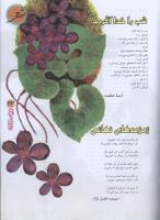 مجله نوجوان 74 صفحه 23