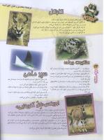 مجله نوجوان 75 صفحه 26
